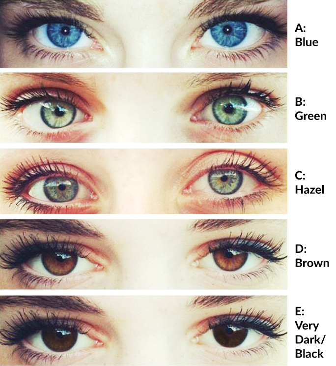Eye Color Spectrum